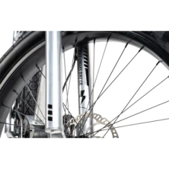 Ruff Cycles Biggie Performance CX -Vtc Électrique Soldes Boutique ruff cycles biggie 8