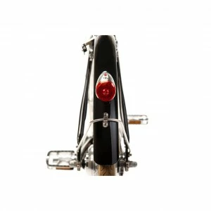 Watt Boston Male 5 Watt Boston Male – Image 3